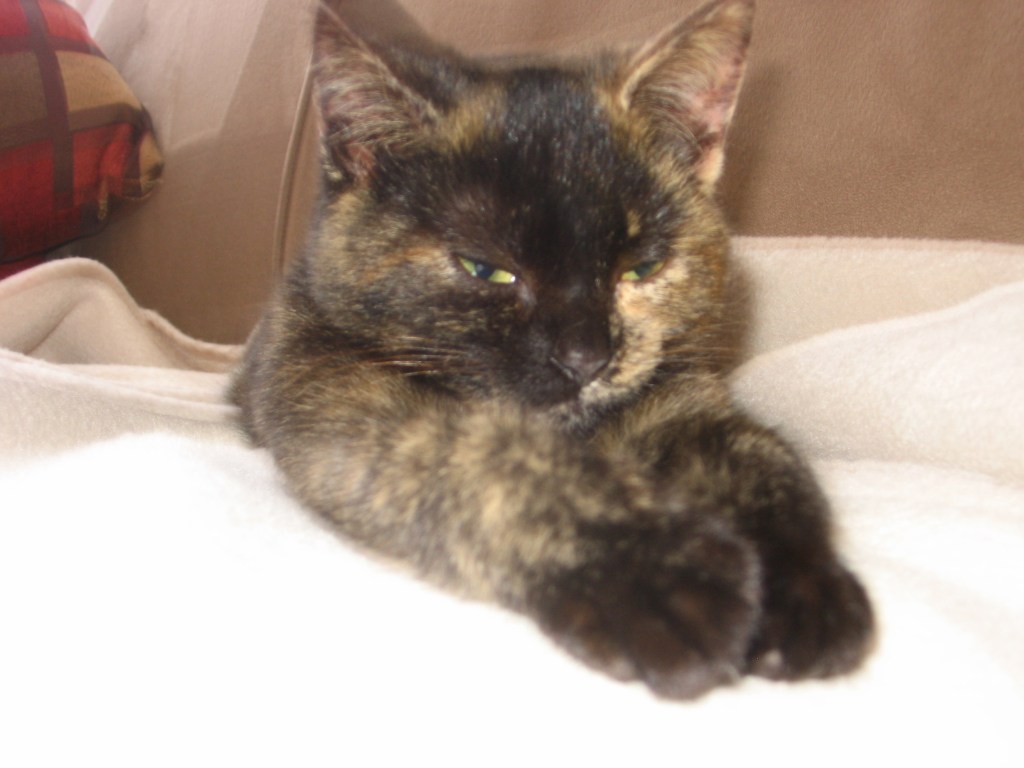 Mabelline the dancing&nbsp;queen