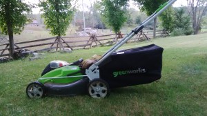 Almonte Greenworks Me and Mrs. Jones