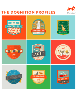 Click to see what kind of dog personality your dog could have!